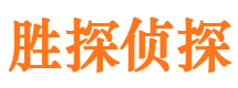 九里市私家侦探